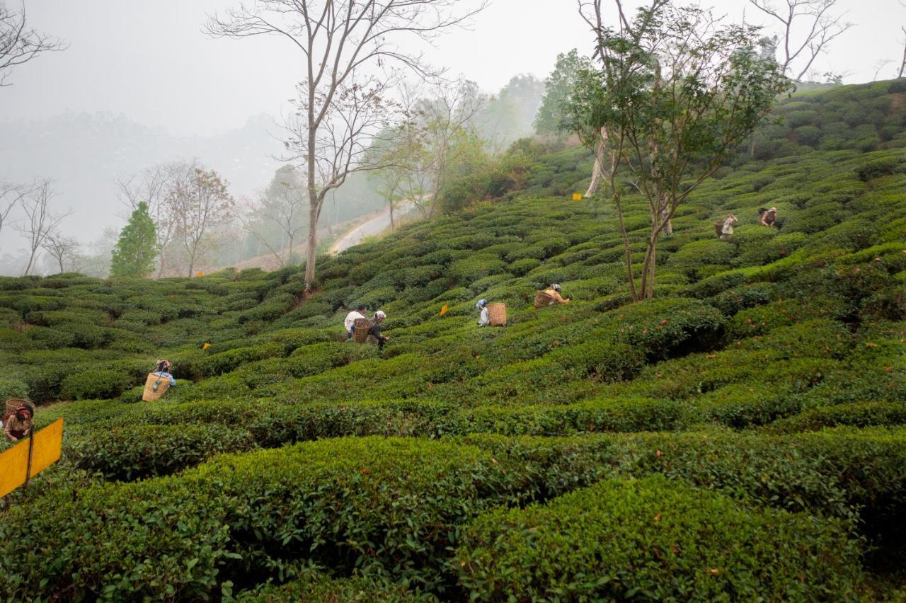 Ama Stays & Trails Puttabong Cottage, Darjeeling Дарджилинг Экстерьер фото